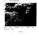 Fig. 09 - TITANIUM BORIDE