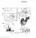 Fig. 03 - COMPOSITIONS AND METHODS FOR THE TREATMENT AND ANALYSIS OF NEUROLOGICAL DISORDERS