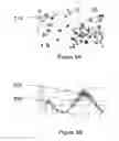 Fig. 06 - Drug delivery product and methods