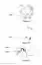 Fig. 07 - Drug delivery product and methods