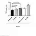 Fig. 04 - ASSAY FOR THE PREDICTION OF THERAPEUTIC EFFECTIVENESS OF MESENCHYMAL STROMAL CELLS, AND METHODS OF USING SAME