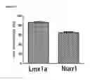 Fig. 02 - Stem cell-derived neural cells for cell therapy in neurological disorders