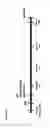 Fig. 15 - Stem cell-derived neural cells for cell therapy in neurological disorders