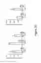 Fig. 04 - Delivery methods and compositions for nuclease-mediated genome engineering