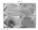 Fig. 07 - Use of EC-SOD and method for preparing thereof