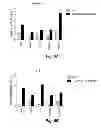 Fig. 06 - METHODS FOR IMPROVING MEDICAL THERAPIES