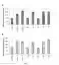 Fig. 07 - SOLENOPSIN AND DERIVATIVES, THERAPEUTIC COMPOSITIONS, AND METHODS RELATED THERETO
