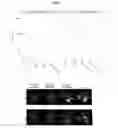 Fig. 02 - METHODS OF TREATMENT AND PREVENTION OF EYE DISEASES