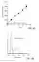 Fig. 04 - MODIFIED HEAT SHOCK PROTEIN-ANTIGENIC PEPTIDE COMPLEX