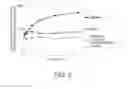 Fig. 03 - ANTIGEN-BINDING MOLECULE FOR PROMOTING ELIMINATION OF ANTIGENS