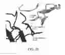 Fig. 30 - ANTIGEN-BINDING MOLECULE FOR PROMOTING ELIMINATION OF ANTIGENS