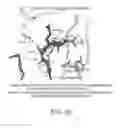 Fig. 40 - ANTIGEN-BINDING MOLECULE FOR PROMOTING ELIMINATION OF ANTIGENS