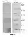 Fig. 04 - COMPOSITIONS AND METHODS FOR IMMUNIZATION AGAINST DRUG RESISTANT ACINETOBACTER BAUMANNII