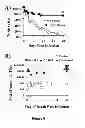Fig. 08 - COMPOSITIONS AND METHODS FOR IMMUNIZATION AGAINST DRUG RESISTANT ACINETOBACTER BAUMANNII