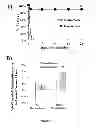 Fig. 09 - COMPOSITIONS AND METHODS FOR IMMUNIZATION AGAINST DRUG RESISTANT ACINETOBACTER BAUMANNII