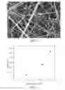 Fig. 06 - BIOACTIVE SUBSTANCE-CONTAINING NANOFIBERS AND USES THEREOF