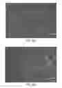 Fig. 08 - BIOACTIVE SUBSTANCE-CONTAINING NANOFIBERS AND USES THEREOF