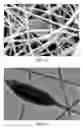 Fig. 09 - BIOACTIVE SUBSTANCE-CONTAINING NANOFIBERS AND USES THEREOF