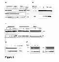 Fig. 02 - Methods and compositions for enhancing the uptake of therapeutic agents by target cells