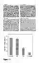 Fig. 04 - Methods and compositions for enhancing the uptake of therapeutic agents by target cells