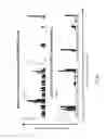 Fig. 06 - METHODS AND FORMULATIONS TO ACHIEVE TUMOR TARGETED DOUBLE STRANDED RNA MEDIATED CELL DEATH