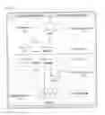 Fig. 04 - METHOD AND AGROCHEMICAL COMPOSITION FOR USING LARCH WOOD EXTRACTS IN AGRICULTURE