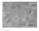 Fig. 09 - Anti-Reflective Coating