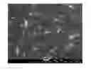 Fig. 12 - Anti-Reflective Coating