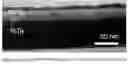 Fig. 08 - Electrically conductive underlayer to grow FePt granular media with (001) texture on glass substrates