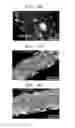 Fig. 08 - Method of forming polymer nanofiber metal-nanoparticle composite pattern
