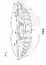 Fig. 08 - Oral illumination systems and methods