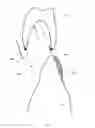 Fig. 08 - Dental preparation guide