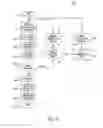 Fig. 08 - SYSTEMS AND METHODS FOR RESPONSE INHIBITION SWITCHING TASK INCORPORATING MOTION FOR ENHANCING COGNITIONS