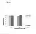 Fig. 06 - Enzyme method