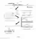 Fig. 02 - Methods for detecting nucleic acid sequence variants