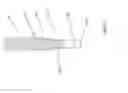 Fig. 02 - Direct nucleic acid analysis
