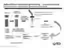 Fig. 01 - Enrichment and isolation of microbial cells and microbial nucleic acids from a biological sample