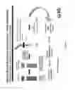 Fig. 02 - Enrichment and isolation of microbial cells and microbial nucleic acids from a biological sample