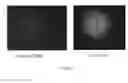 Fig. 07 - GENDER-SPECIFIC IDENTIFICATION OF SPERM CELLS AND EMBRYOS USING LOCKED NUCLEIC ACIDS