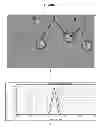 Fig. 06 - Analyte enrichment methods and compositions