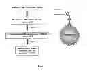 Fig. 02 - METHOD OF DIAGNOSING BACTERIAL INFECTIONS USING BACTERIAL GLYCOPROTEINS