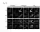 Fig. 05 - METHOD FOR DETECTING COMPOUND-BINDING PROTEIN
