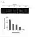 Fig. 14 - METHOD FOR DETECTING COMPOUND-BINDING PROTEIN