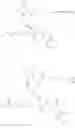 Fig. 124 - Fluorescent substrates for determining lysine modifying enzyme activity