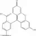 Fig. 136 - Fluorescent substrates for determining lysine modifying enzyme activity