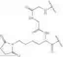 Fig. 197 - Fluorescent substrates for determining lysine modifying enzyme activity