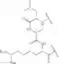 Fig. 201 - Fluorescent substrates for determining lysine modifying enzyme activity