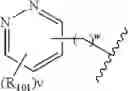 Fig. 232 - Fluorescent substrates for determining lysine modifying enzyme activity