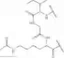 Fig. 43 - Fluorescent substrates for determining lysine modifying enzyme activity