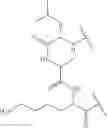 Fig. 49 - Fluorescent substrates for determining lysine modifying enzyme activity